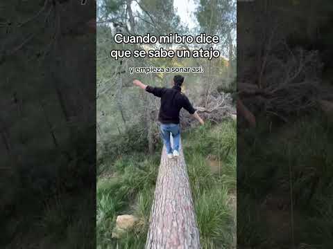 Me he mudado al bosque🧌 #humor