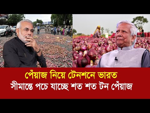 ভারতে পচে যাচ্ছে শত শত টন পেঁয়াজ !! আমদানি বন্ধ করে দিলো বাংলাদেশ !! Onion || India || Bangladesh
