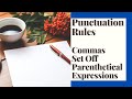 Commas and Parenthetical Expressions in Sentences