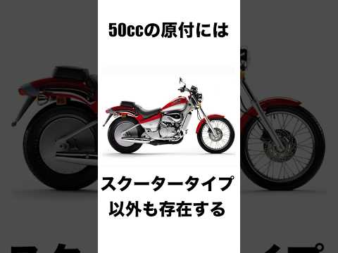 あなたはどの、フルサイズ原付が好き？ #原付 #50cc