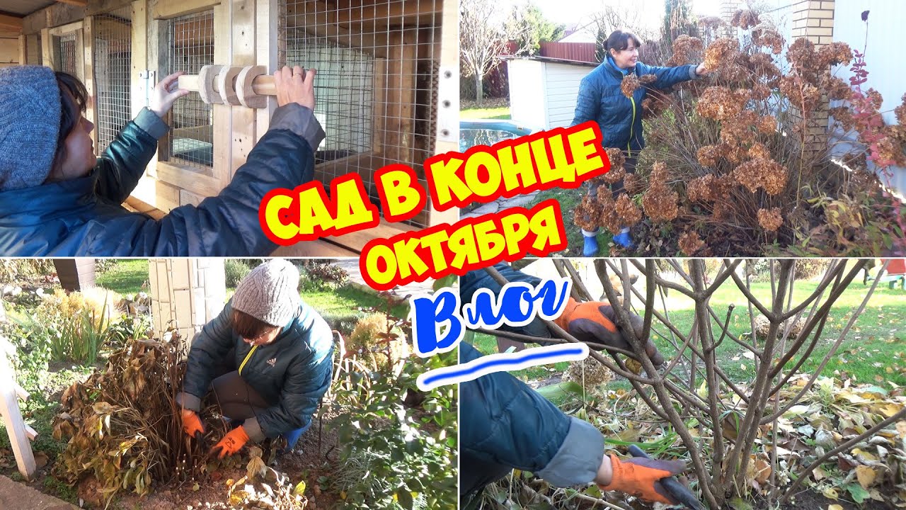 ВЫХОДНОЙ с ВАМИ: Подготовка к зиме пионов. Обрезка лапчатки, гортензий. Крольчатник и ЧАЕПИТИЕ