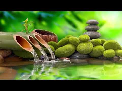 Relaxing music and water sounds help relieve anxiety and restlessness 🌿 Reduce stress