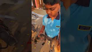 பூனை. உங்கள் வீட்டில் குட்டி போட்டால் என்ன செய்வது..