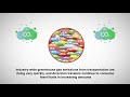 California Emissions and Vehicle Regulations