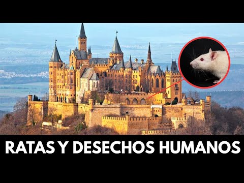 Esto es lo que NADIE TE CUENTA sobre lo que fue la REALEZA EN LA EDAD MEDIA