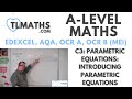 Understanding Parametric Equations Concepts