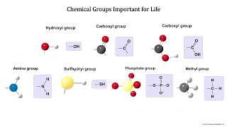 Molecular Building Blocks