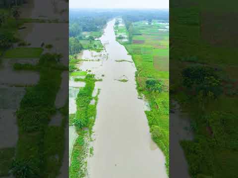 ভরা যৌবনে ইছামতী নদী দেখতে অনেক সুন্দর লাগে ।।