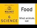 Animal Diets and Feeding Habits