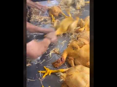 Machine விட வேகமான Workers 🤯💥👍#shorts #shortvideo