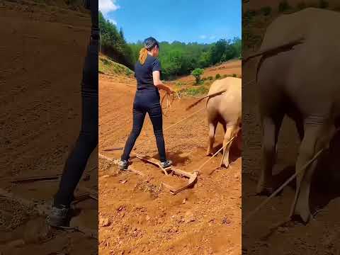Todo esse esforço… e ainda ignorados 😞