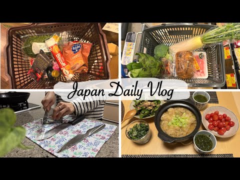 housewife living in japan | shopping at Kaldi and Daiso, reset kitchen