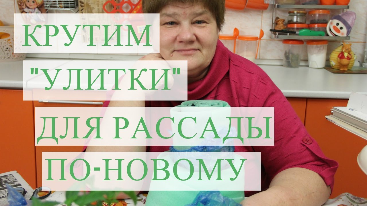 Супер способ для улитки. Рассада в улитке.