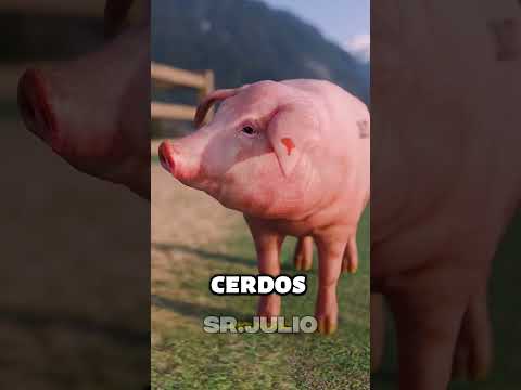 ¿Por qué a los cerdos les gusta revolcarse en el barro?🤔 #datoscurisos #curiosidades #shorts