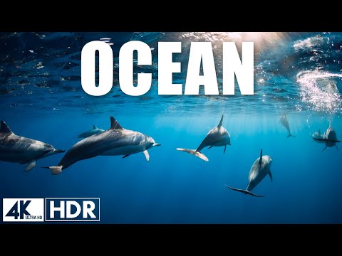 The Ocean (4K UltraHD)- Relaxation Film - Peaceful Relaxing Music - 4k Video UltraHD