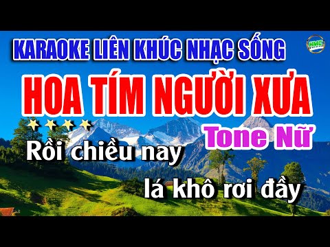 Karaoke Liên Khúc Nhạc Trữ Tình Tone Nữ Dễ Hát | Bolero Nhạc Xưa Bất Hủ | HOA TÍM NGÀY XƯA