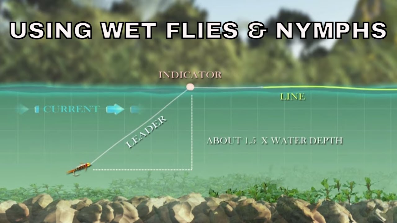 Using Wet Flies & Nymphs - How To with Tom Rosenbauer - The New Fly Fisher