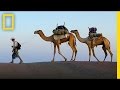 Journey Through Evolving Stories