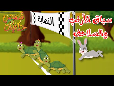 قصص وحكايات - قصص للأطفال - رسوم متحركة - قصص قبل النوم - قصة سباق الأرنب والسلاحف