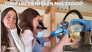 La Primera Odontología Equina De Ángel | No Fue Lo Que Esperaba - Lauvet