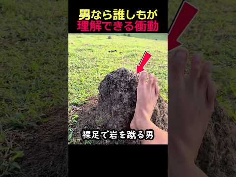 男なら誰しもが理解できる衝動