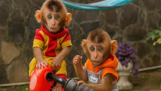 Full Supervision Needed: Anything Can Happen with These Two Outside!🐒baby monkey loan, money and isa