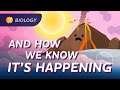 Climate Change and Its Impact