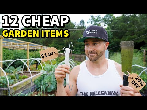 12 CHEAP Purchases That Actually Improved My Garden