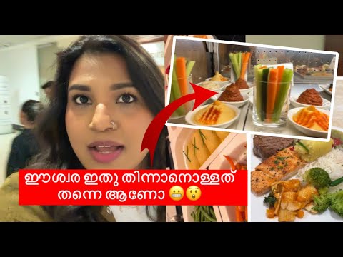 Dubai Airport ലേ ഒരു കിലോമീറ്റർ നീളമുള്ള  Emirates Lounge കണ്ടു ബോധം പോയി vlog