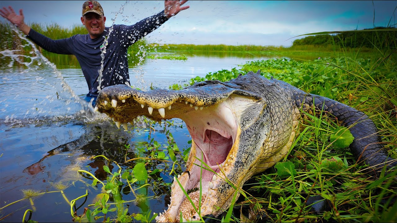 Giant Alligator Terrorizes Local Fisherman! Catch Clean Cook with Guga Foods!