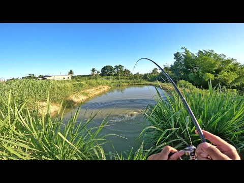 PESQUEI NO MEU LAGO GIGANTE NA ROÇA !