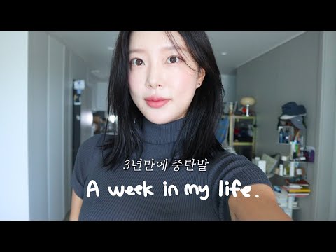 [VLOG] 일상 브이로그 | 제주 막바지 여름 즐기기 | 3년만에 중단발 복귀 | 러닝 | 일주일 출근룩 | 아끼는 서귀포 찐맛집 (대춘해장국, 골목깡통구이, 한라산 불뚝이)