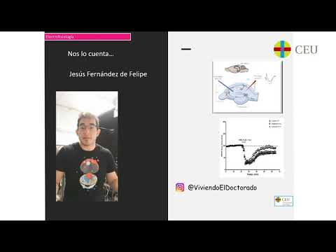Semana-ciencia - Videos - Investigación básica en patologías del sistema nervioso central