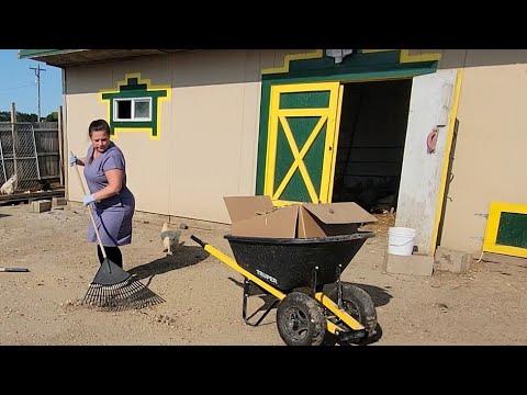 Жизнь в америке / навела порядок во дворе