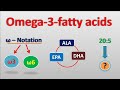 Understanding Omega-3 Fatty Acids