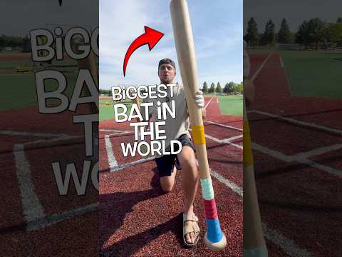 Tiny Bat vs GIANT Bat