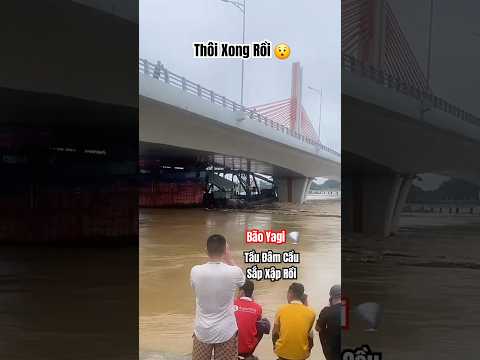 Thôi Xong Rồi - Bão Yagi 🌪 Kéo Tàu Đâm Vào Cầu Sắp Sập Rồi #shorts #baoyagi #yagi #baoyagimoinhat