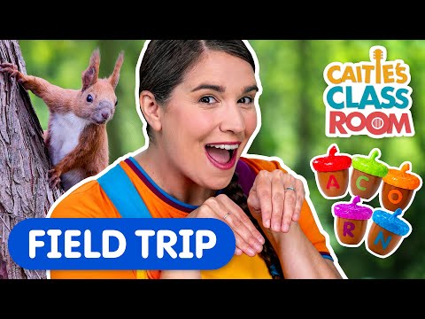 Let's Pretend To Be Squirrels! | Caitie's Classroom Field Trip | Learn & Play On An Epic Playground!