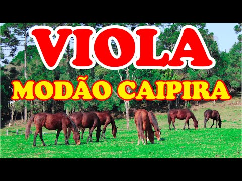 SOM DA VIOLA CAIPIRA - MODÃO SERTANEJO RAIZ