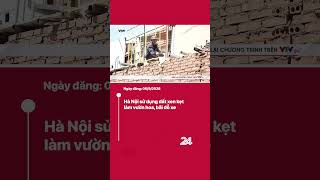 Hà Nội sử dụng đất xen kẹt làm vườn hoa, bãi đỗ xe | VTV24