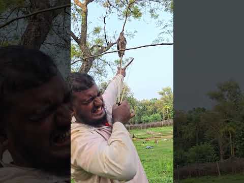 বা'জ পা:খি দেখা যাক.