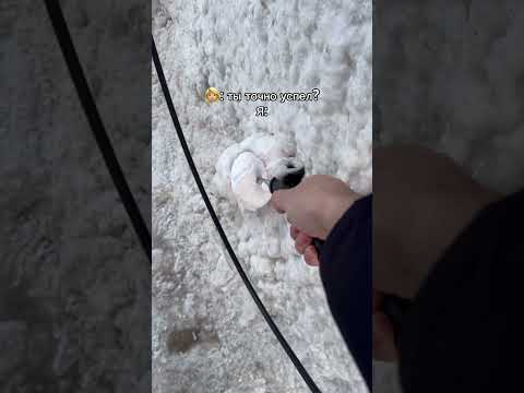 Не успел