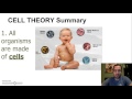 Exploring Cell Theory and Levels of Organization