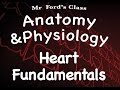 Cardiovascular System Concepts