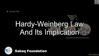 Hardy-Weinberg Law And Its Implication