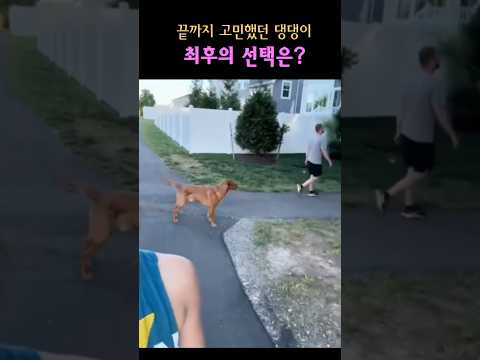 정말 끝까지 고민했구나