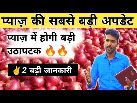 प्याज़ बाजार को लेकर बड़ी खबर 😳 !!प्याज़ बेचने से पहले जान लो क्या है मामला ! onion report on this week