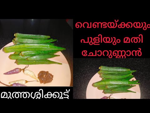 വെണ്ടയ്ക്കയും പുളിയും ഒഴിച്ചു കറി റെഡി| Vendakka Ozhichu Curry Recipe Malayalam | Lady Finger Curry