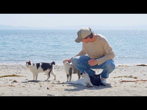I went to every cat island in Japan