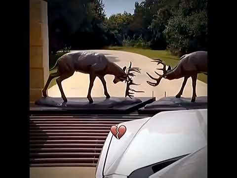 ๐คฃ๐ฆ (usem o funk) #hearttrend #humor #football #fifa #funny #viral #edit #funk #capcut #messi